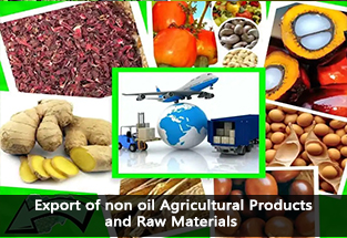 export of non oil agriculturs