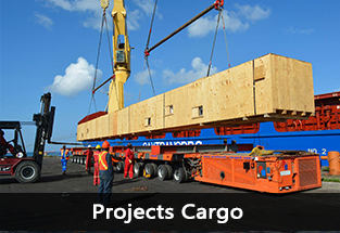 projects cargo